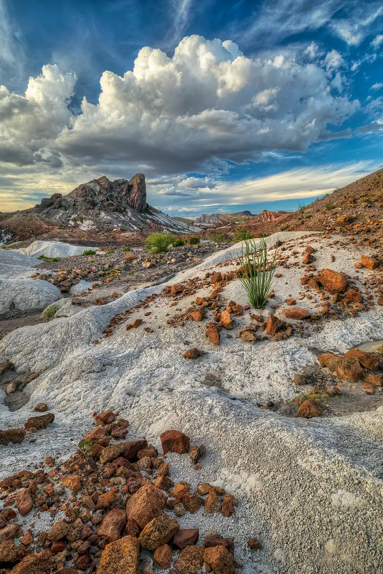 Photography location; Vertical image of Big Bend National Park. The soil on the foreground hillside, which slopes up to the right, is comprised of white volcanic ash and is free of plants except for a few cactus. Strewn about, on top of the white ash, are rocks and boulders of reddish, orange volcanic rock. Further back, in the mid ground, on the left side of the frame, an old, dark volcanic core juts out of the white ash. Above, building storm clouds and wispy higher clouds cap off this very dramatic, desert landscape.