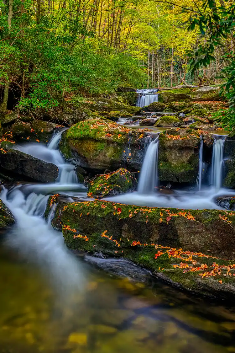 A favorite workshop location. Three layers of cascades and waterfalls fill the bottom two thirds of this image. The water flows through, over and around shelves of rock covered in green moss and freshly fallen autumn leaves. The sides of the stream are hugged by rhododendrons and above them are the autumn colors of a hardwood forest in Great Smoky Mountains National Park.