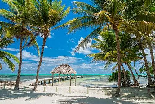 Beach with palapa, pier, and palm trees in San Pedro, Ambergris Caye, Belize.