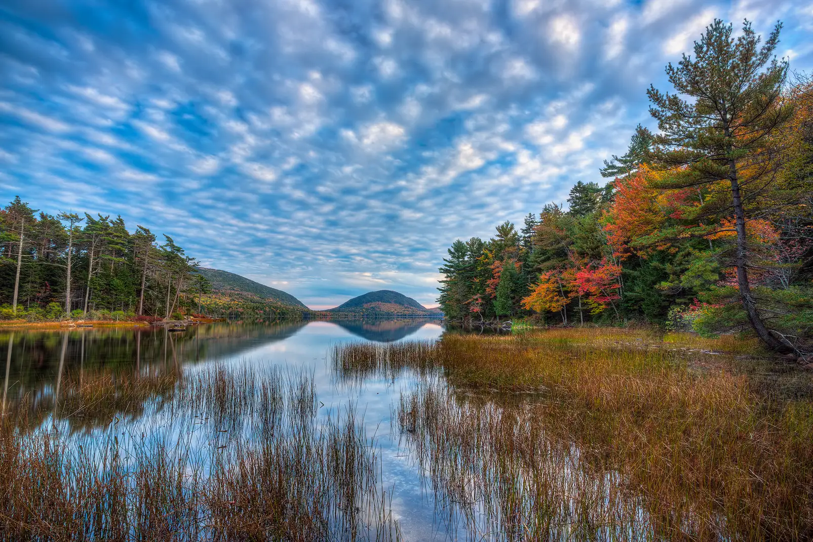 Eagle Lake autumn landscape photograph: mountain reflections, colorful foliage, and reeds in Acadia National Park. Photo by Andy Cook.