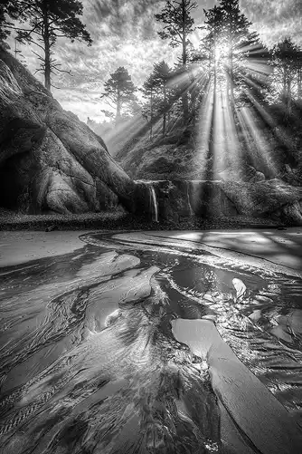 Black and white photo of morning sun creating god rays through pine trees on a foggy cliff overlooking a stream and waterfall flowing onto the beach at Hug Point, Oregon Coast.