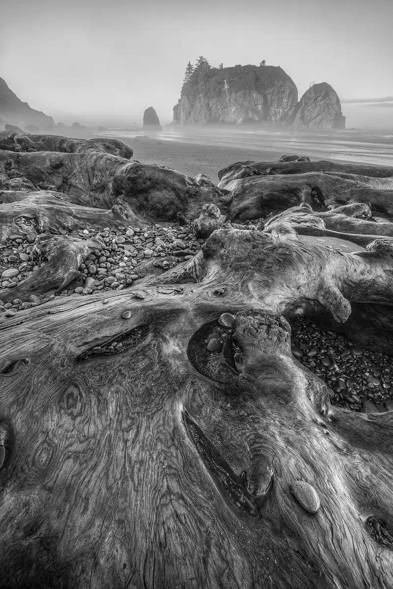 Ruby Beach, Olympic National Park, black and white image with driftwood and coastal fog.