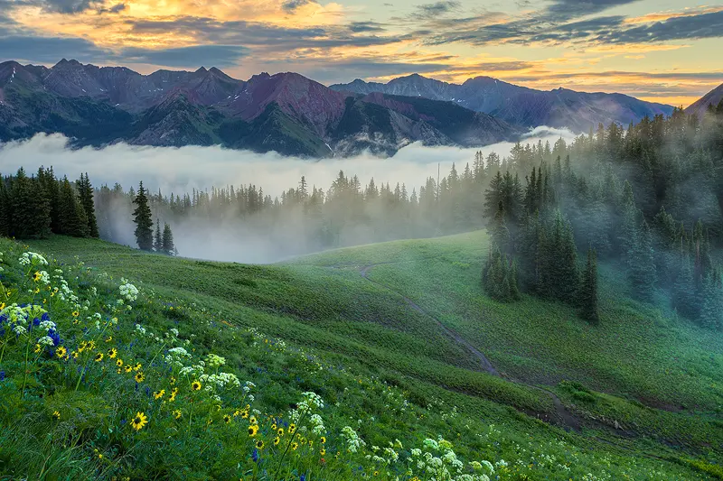 Captured from high in an alpine meadow in Crested Butte, Colorado, this scene showcases a serene mountain sunrise. In the foreground, white and yellow wildflowers bloom along the left, while the meadow slopes down toward a saddle where a forest begins. Wispy morning fog lingers in the forest, and beyond, a dense fog fills a low valley. Rising majestically from the fog, a ridge of the Rocky Mountains emerges on the far side of the valley. Above the mountains, the sun paints the clouds a soft yellow, though it has yet to break through and illuminate the scene directly. This stunning photo, taken by Andy Cook, captures the tranquil beauty of the alpine landscape and the mystery of a mountain morning.