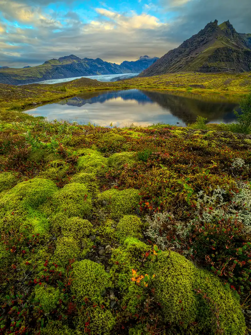 Svinafellsjokull Svinafellsjokull