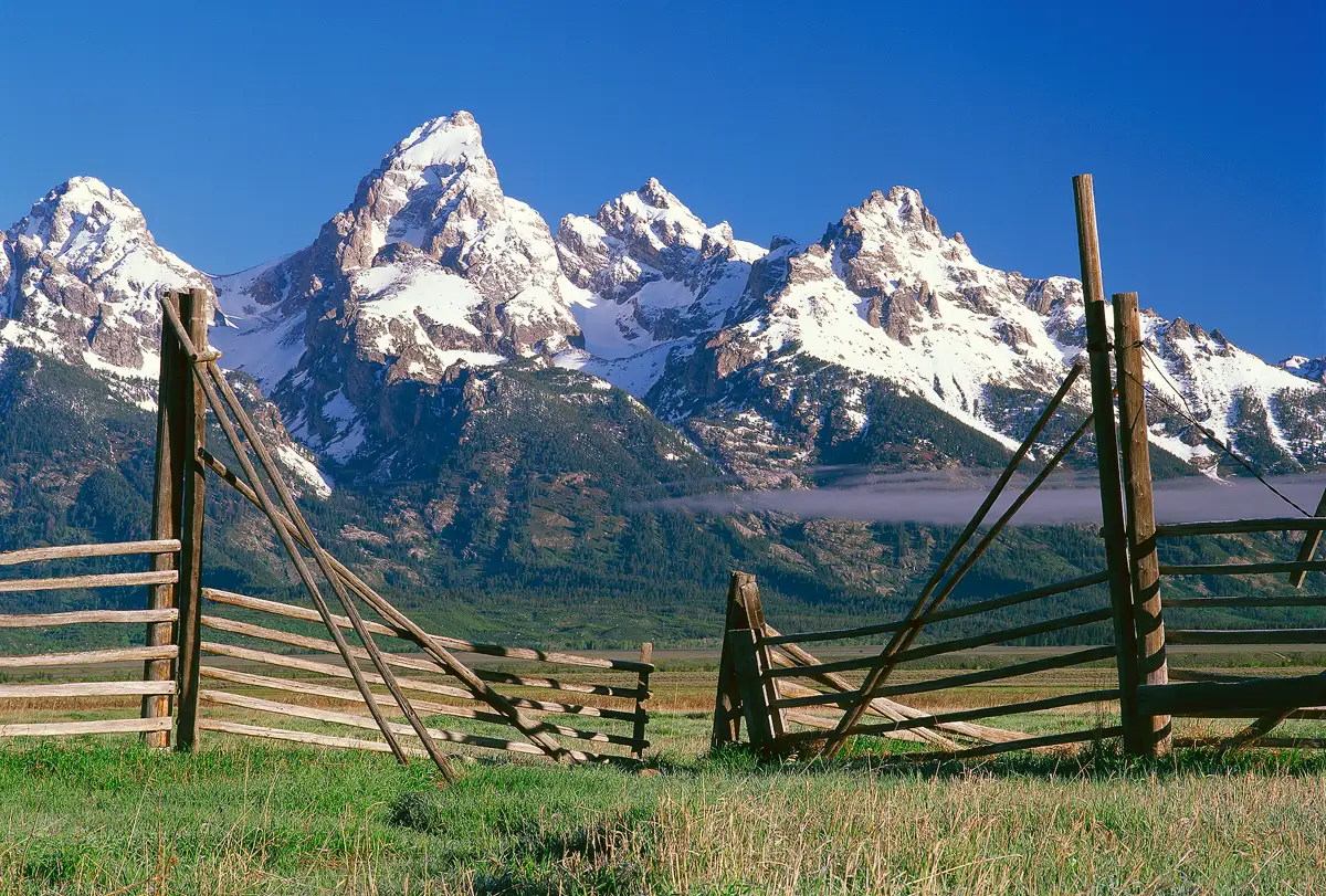 It's Spring, there is a clear blue sky, the sun has risen and is side lighting the scene. The foreground element is an old wooden fence gate in a grassy field and it frames the snow laden, dramatic Grand Teton Mountains in the background.