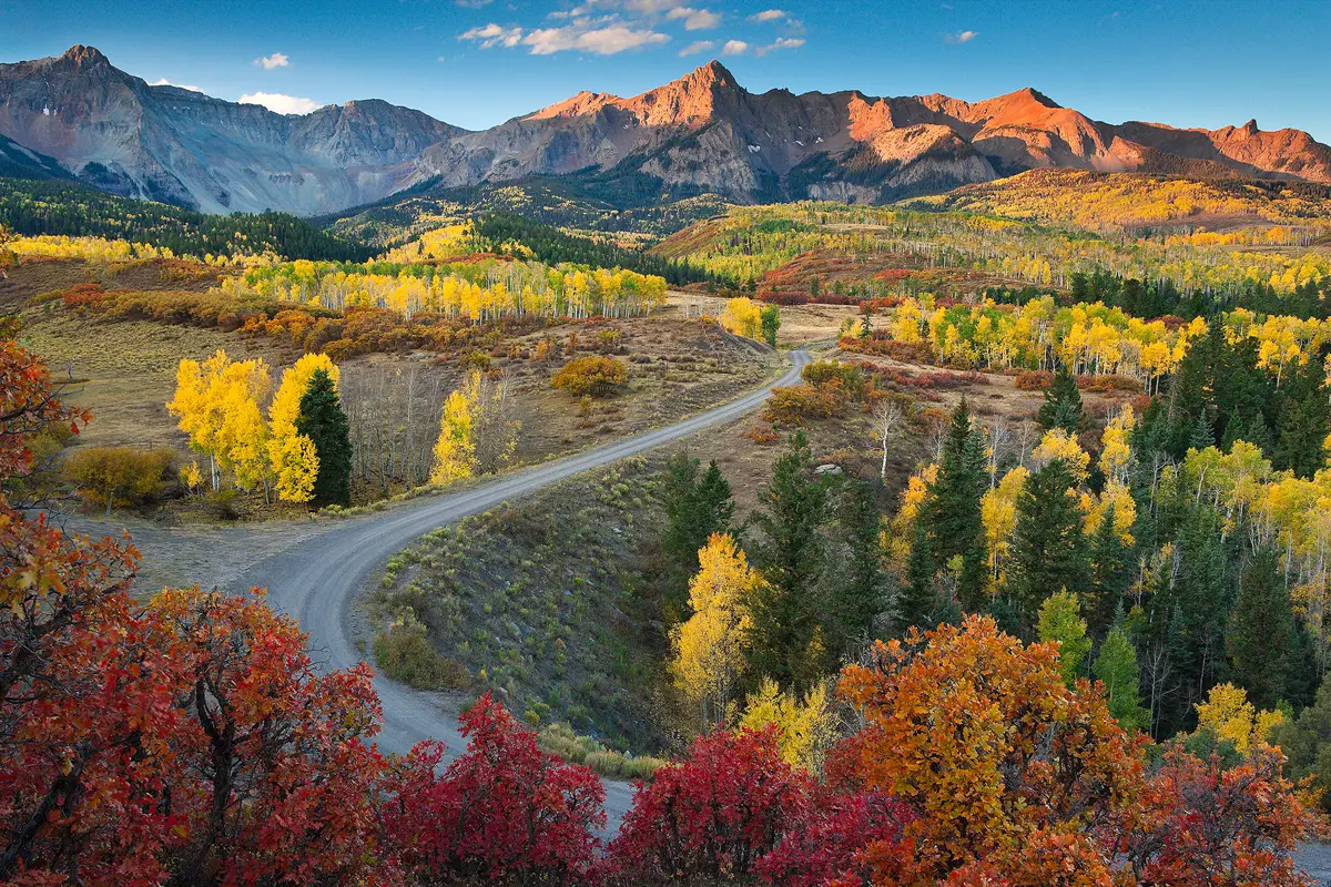 A position from above allows the viewer to see a dirt road enter in the bottom, right corner of the frame then pass behind colorful red and orange scrub oak in the foreground then reappear curving to the right and leading to the center of the frame where it becomes very small and disappears behind trees in a turn. The overall scene, above the foreground of colorful scrub oak, is of a scenic mix of meadows, bushes and trees. The trees are mostly aspen trees at peak fall color, but a few spruce trees are mixed in. Further up in the image the scene is capped by rugged looking rocky mountains that run left to right across the entire frame and they are just beginning to receive sunrise light. Above the mountains is a little bit of blue sky with a few white fluffy clouds.