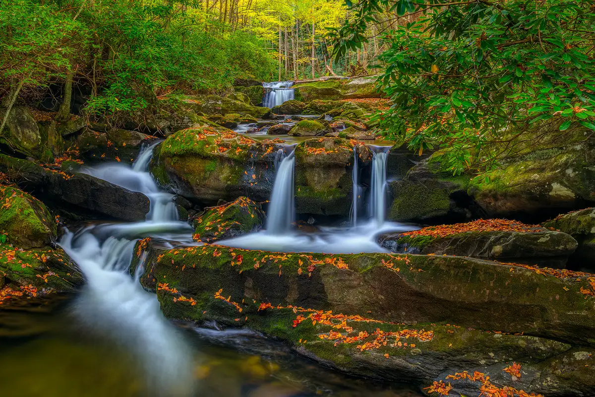 This photograph shows a large stream cascading through the middle of the frame toward the viewer. There are three levels to the cascades as the water flows over large shelves of rock. The upper cascade is narrow and in the background with autumn foliage above it. The middle level of cascades is the widest, taking up half of the frame's width and looks more like three separate waterfalls spilling through low spots in the rock shelf. The lowest rock shelf enters the frame in the bottom right corner and slopes down and back to the base of the middle cascades. There the water collects and flows left and then spills over the far left side of the shelf into a large pool where rocks push the white current back toward the middle of the frame. Most of the rock in this image is coated with green moss and sprinkled with autumn leaves.