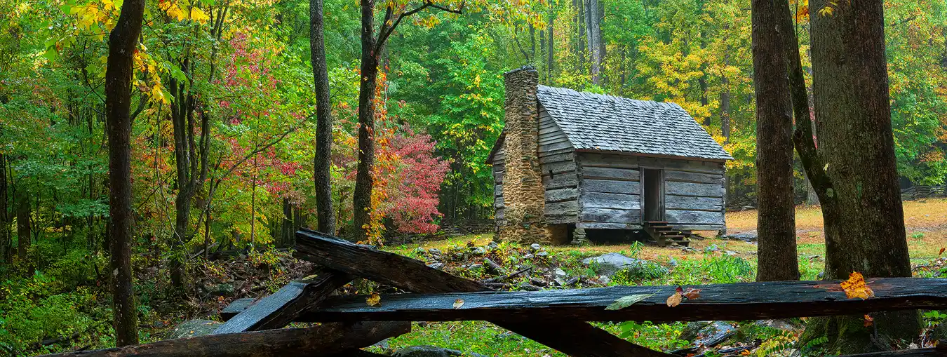A few autumn leaves cling to the top rail of a damp, zigzag fence that is in the bottom one fifth of this panorama. On the left side of the frame, above the fence, is an autumn forest. In the right two thirds of the image a historic log cabin sits in a small clearing and is nicely framed on the right by foreground tree trunks.