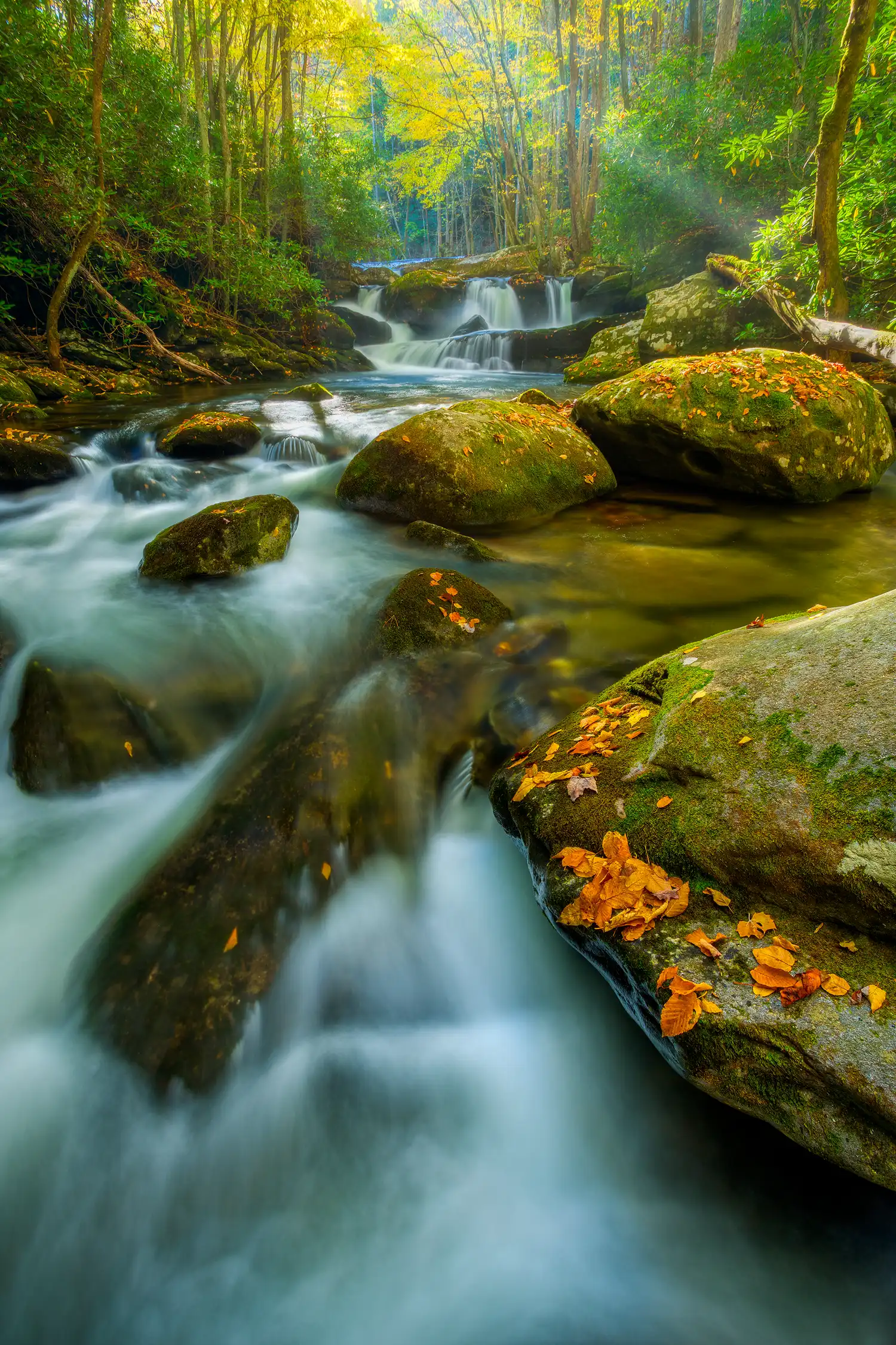 Autumn cascades on Lynn Camp Prong in Great Smoky Mountains National Park.