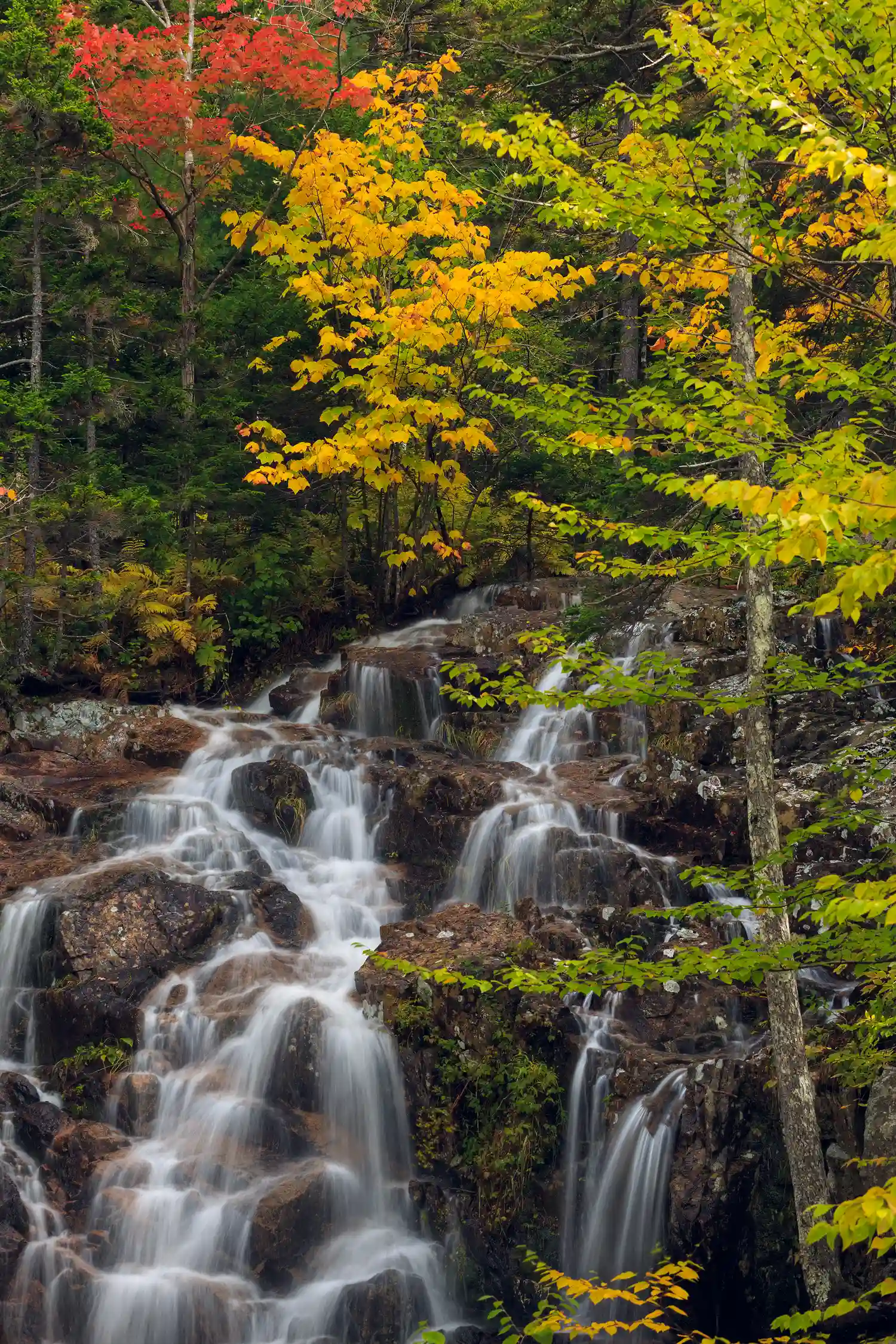 Waterfall in Acadia National Park surrounded by autumn foliage.