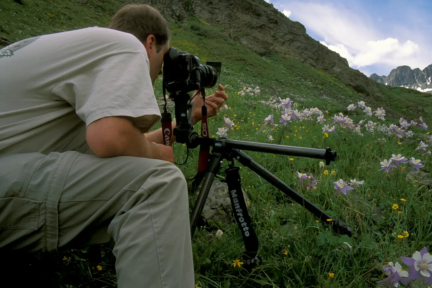 A photographer on a mountain slope with wildflowers.