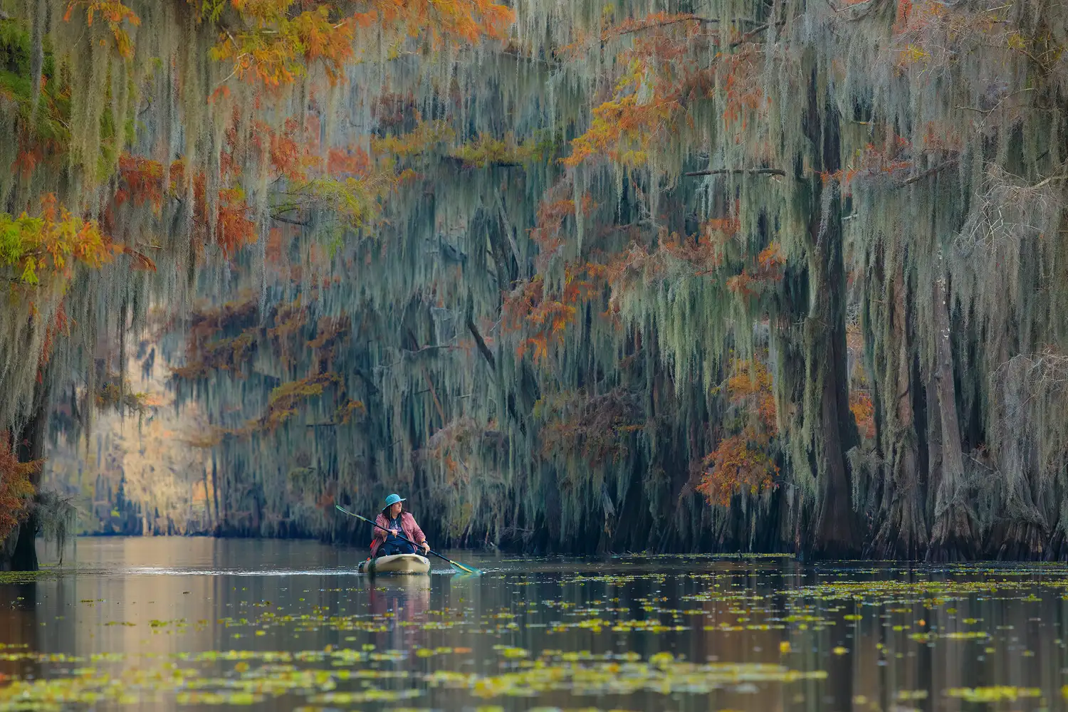 Kayaker paddling through a cypress tree tunnel on Caddo Lake in autumn.