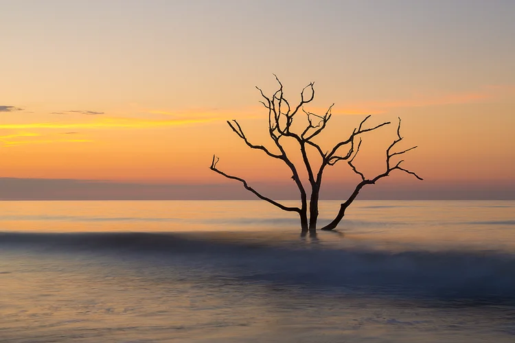 Boneyard Beach at dawn near Charleston, South Carolina.