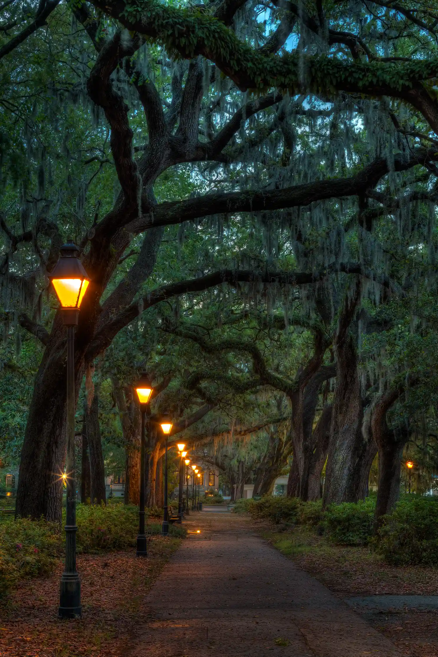 Forsyth Park in Savannah, Georgia, with moss-draped trees and a lit pathway.
