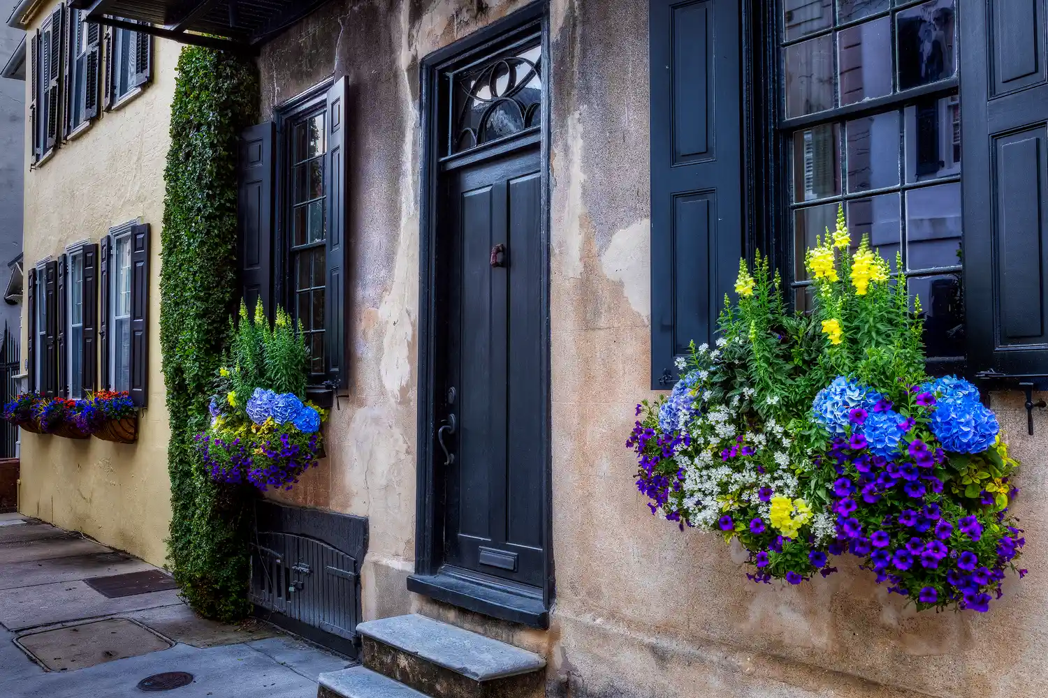 Historic Charleston home with yellow stucco and flower boxes.