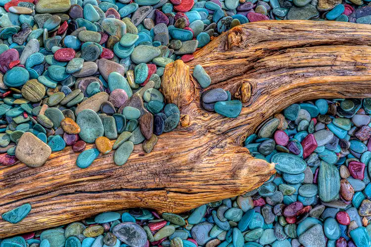 Driftwood and pebbles on a lakeshore in Glacier National Park
