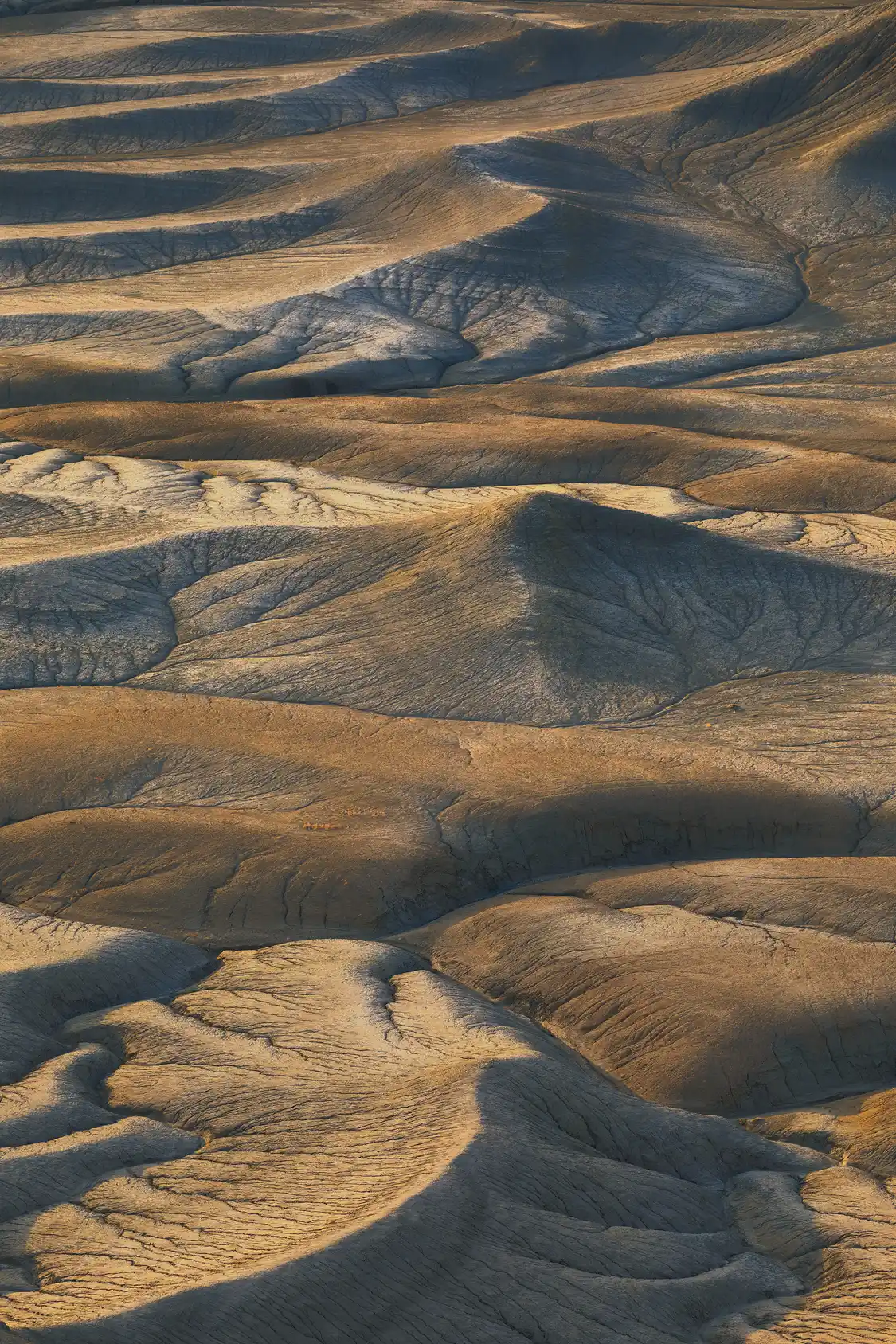 Rolling badlands and drainage patterns at Moonscape Overlook just after sunrise, Utah.