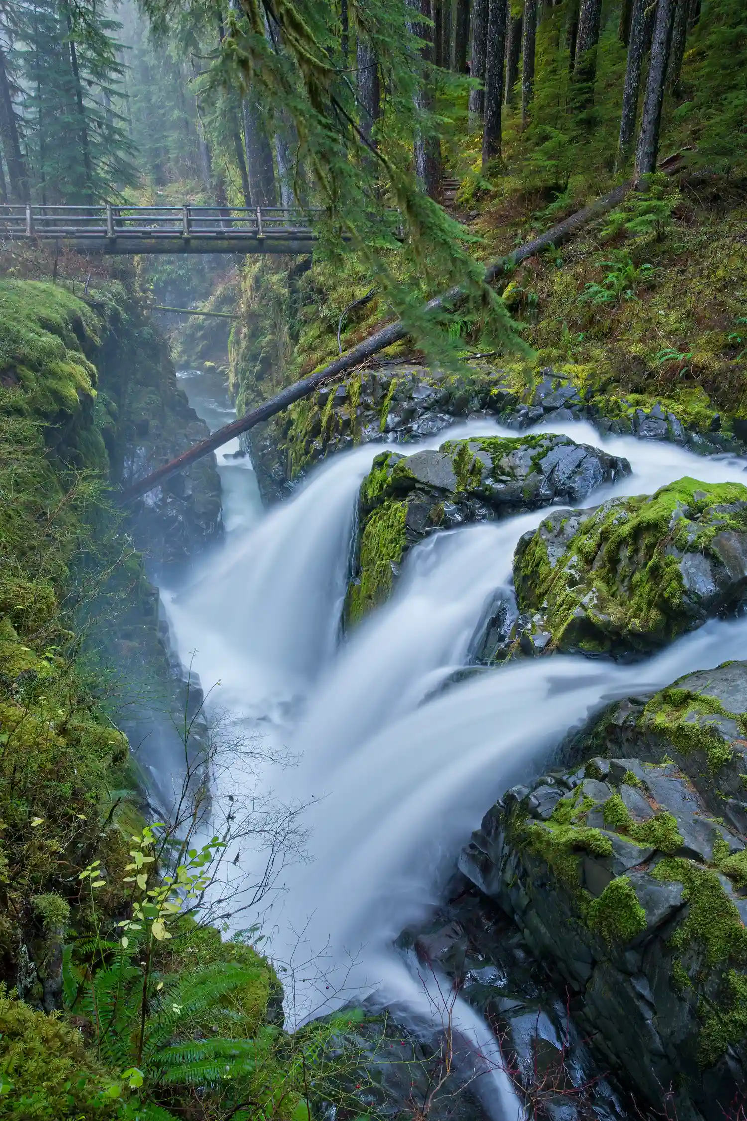 Sol Duc Falls in Olympic National Park.