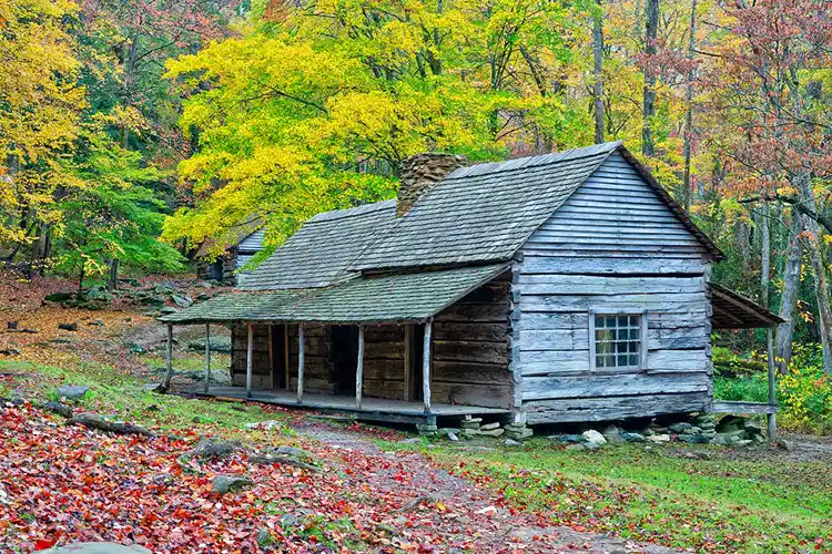 Historic Bud Ogle Cabin nestled beneath colorful autumn trees in Great Smoky Mountains National Park.