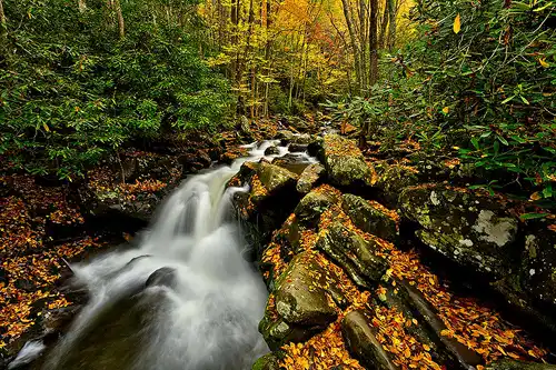 Cascade waterfall, autumn foliage, Great Smoky Mountains. Photo by Dale Sullivan.