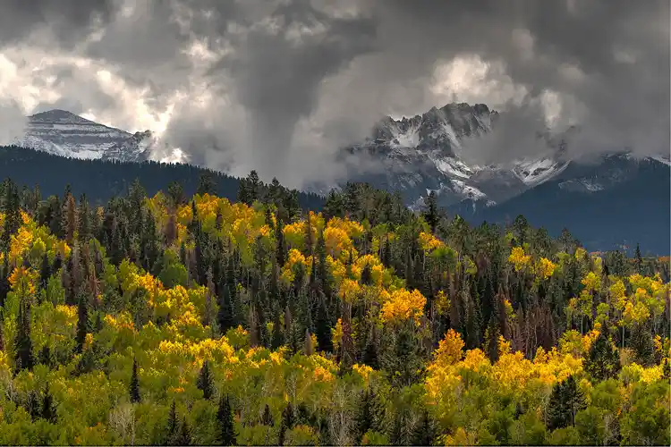 Storm clouds sweeping over snow-covered peaks above golden aspens in the San Juan Mountains of Colorado.