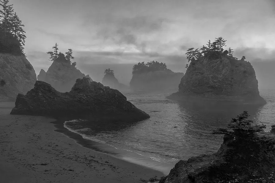 Fog drifting among sea stacks at Secret Beach on the Oregon coast, with gentle waves and evergreen-topped rock formations fading into the mist.