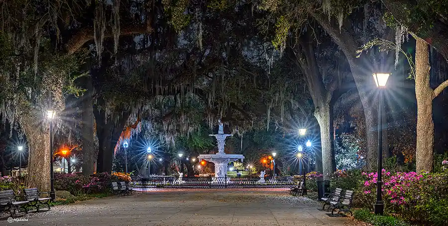 Walkway leading to the glowing Forsyth Park Fountain before sunrise in Savannah.