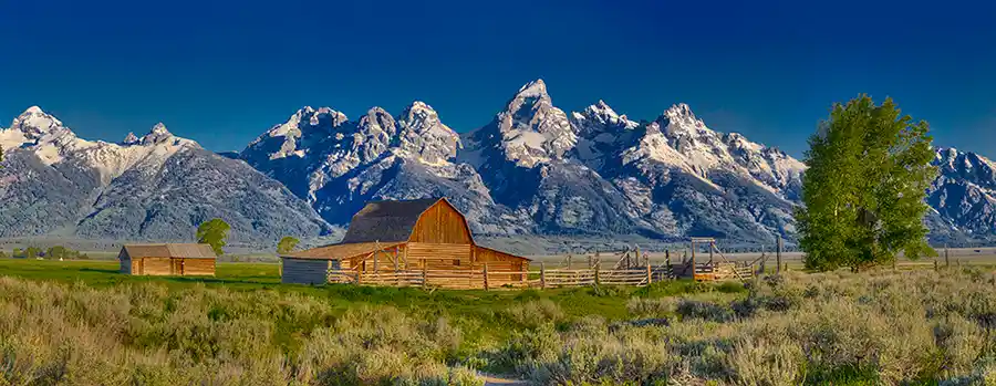 The historic John Moulton Barn surrounded by sagebrush beneath the Teton Range on Mormon Row, Grand Teton National Park.