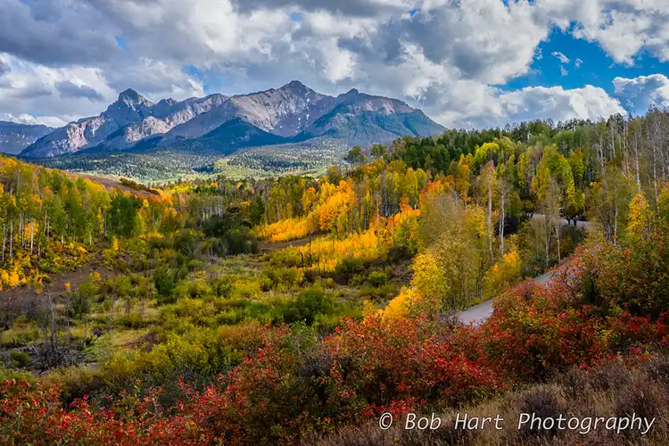 Golden aspens and colorful shrubs leading toward the San Juan Mountains along Last Dollar Road near Ridgway, Colorado.
