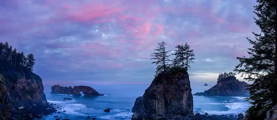 Panoramic sunrise photo of tree-topped sea stacks with Arch Rock in the distance on the Oregon Coast, under pink and blue morning clouds.