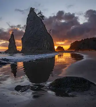 Sunset reflection on Rialto Beach, Olympic National Park. Tree-topped rocks offshore. Photo by Donna Pyle.