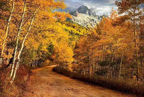 Road through aspen forest, Mt. Sneffels in background, Colorado. Autumn colors. Photo by Scott Fenton.