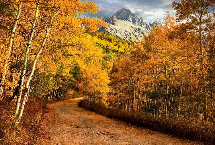 Winding dirt road leading through golden aspens toward Mount Sneffels in the San Juan Mountains of Colorado.