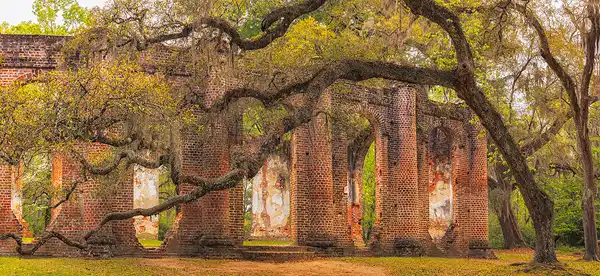 Old Sheldon Church ruins, oak trees, morning light. Charleston workshop. Photo by Rick Thompson.