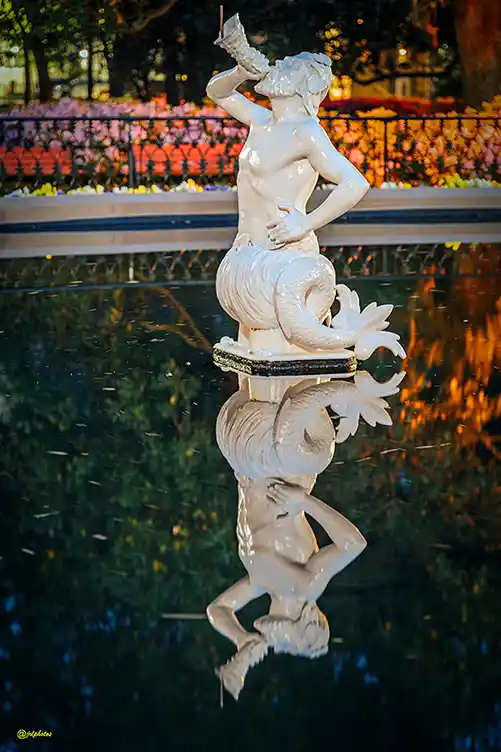 Fountain statue reflected in still water at Forsyth Park in Savannah.