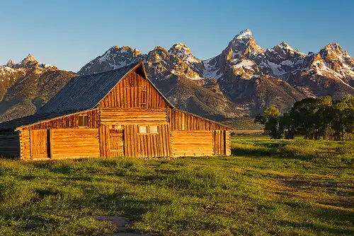 Sunrise at Moulton Barn, Grand Teton National Park, with side-lit foreground grass and snow-capped Teton peaks in the background. Photo by George Casey.