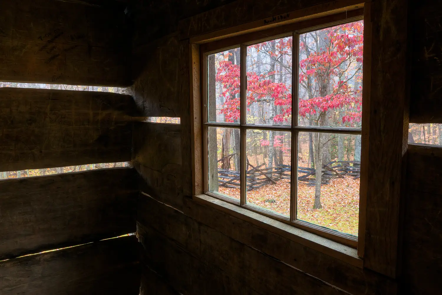 Historic cabin window with fall foliage view in Great Smoky Mountains National Park.