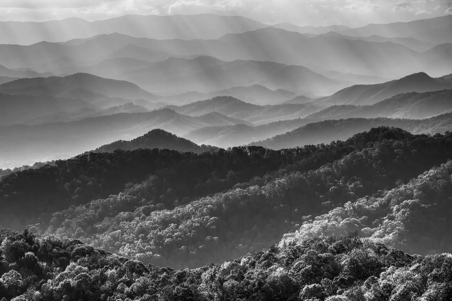 Black and white landscape photography of layered mountains in the Smoky Mountains in fall.