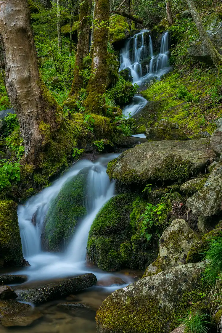 Workshop location; Vertical photo of one of the incalculable creeks and runoffs that swell in the Spring and cascade down the slopes through the vibrant green mossy forests of Smoky Mountains National Park.
