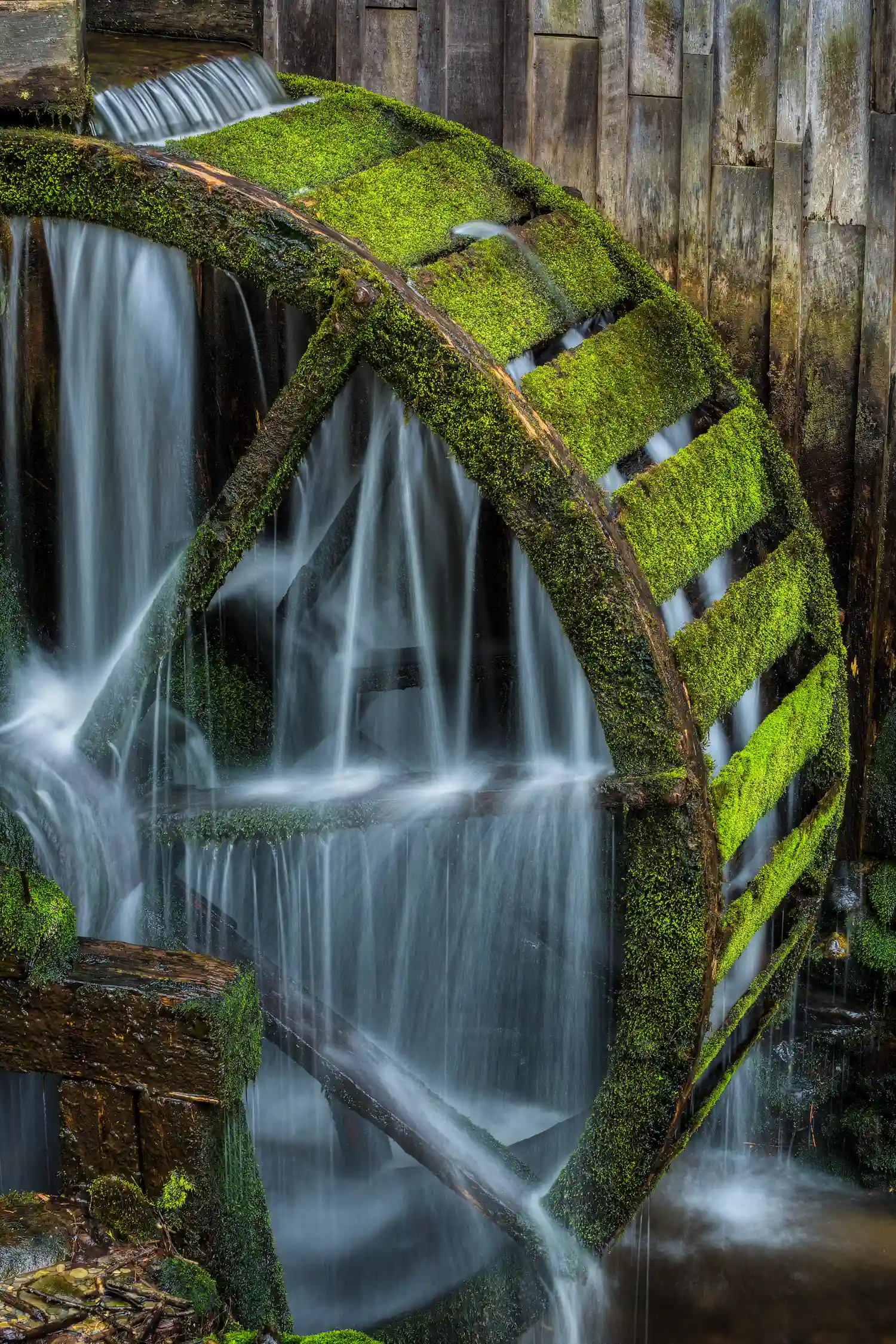 Moss-covered water wheel at Cable Mill in Cades Cove in spring.